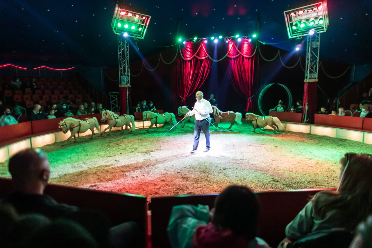 Bild 368 - Zirkus Europa